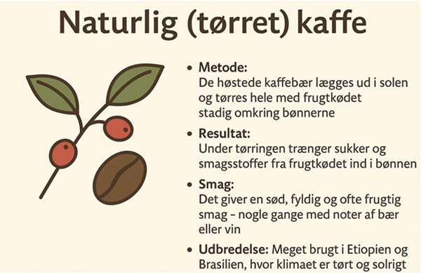 Billede af Tørret kaffe.