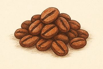 Vis detaljer for Honduras kaffe Billede af Honduras kaffe