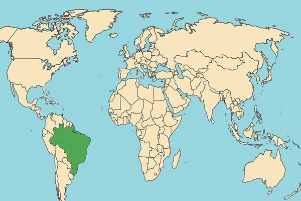 Billede af Brasil kaffe